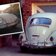 Image for article titled Help Find Iris, This Man's Stolen Beetle